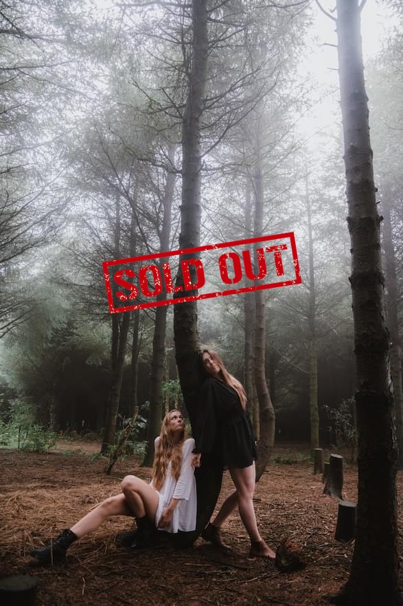 True Foxes for website sold out